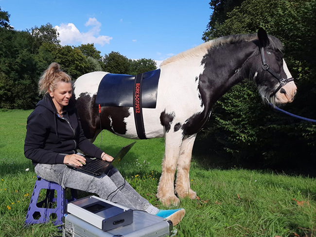 Stefanie Köhler nutzt Bioresonanz 3000 bei einem Pferd